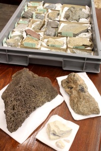 A tray containing Tourmaline specimens; with Basalt, Granite & an Opal bearing Limestone. 